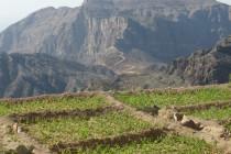Oman, le trésor caché du Moyen-Orient Oman, le trésor caché du Moyen-Orient