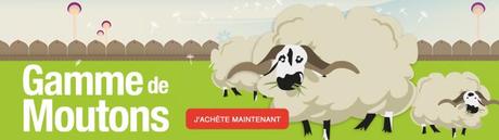 SARDI.MA  premier site de vente en ligne de moutons.