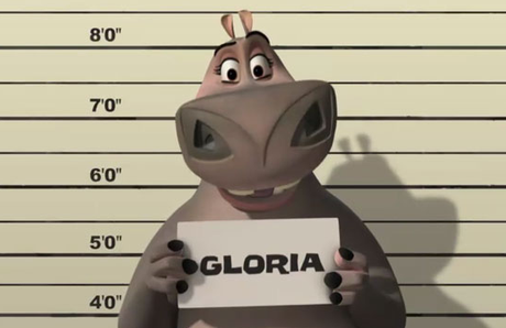Gloria_Madagascar_Hippopotame_a_culotte