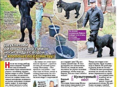 Hey Manu descend! à quand un chien vigneron?