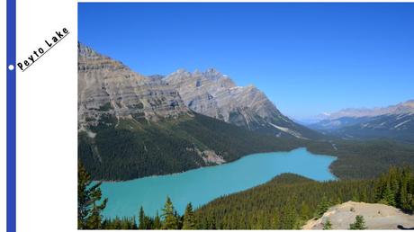 Roadtrip – Rocheuses canadiennes #4 icefields-parkway-peyto-lake