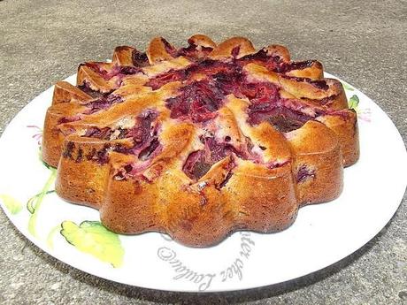 moelleux aux prunes DSCF9034