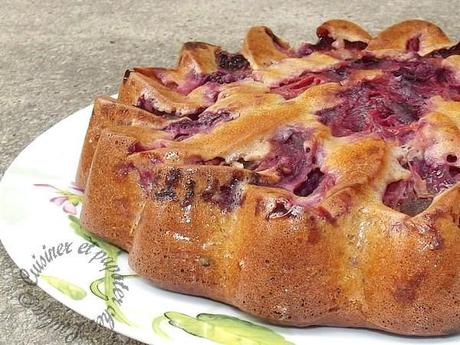 moelleux aux prunes DSCF9032