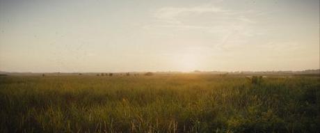 paysage paysage