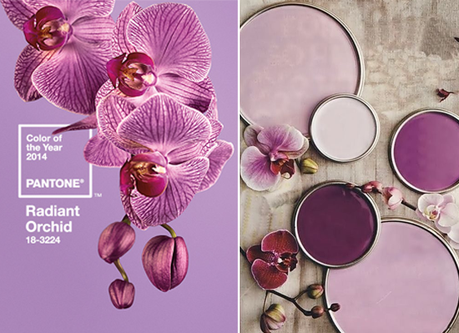 panton La couleur de l’année : tendance 2014