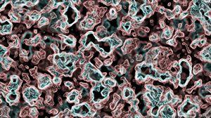 Les bactéries volent la vedette!