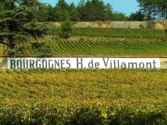 Vignoble Henri de Villamont - Clos des Guettes Vignoble Henri de Villamont - Clos des Guettes