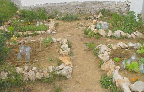 101 trucs en 1001 jours : N°4 faire un potager 101 trucs en 1001 jours : N°4 faire un potager