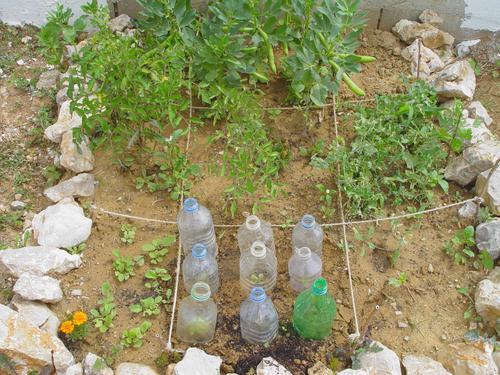 101 trucs en 1001 jours : N°4 faire un potager 101 trucs en 1001 jours : N°4 faire un potager