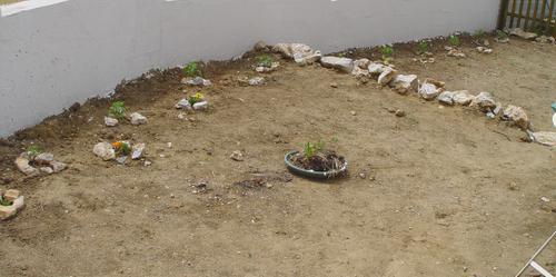 101 trucs en 1001 jours : N°4 faire un potager 101 trucs en 1001 jours : N°4 faire un potager