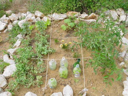 101 trucs en 1001 jours : N°4 faire un potager 101 trucs en 1001 jours : N°4 faire un potager
