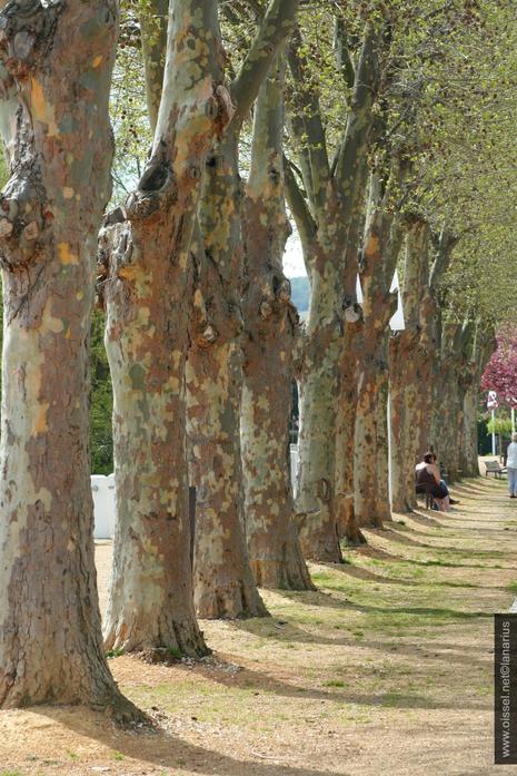 Ballade sur les quais-1