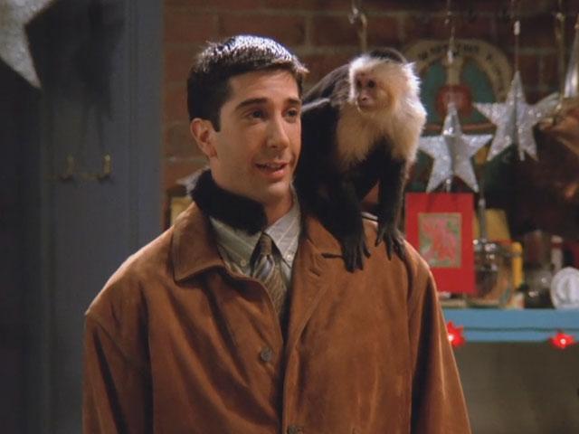 Friends, que sont-ils devenus ? friends 20 ans