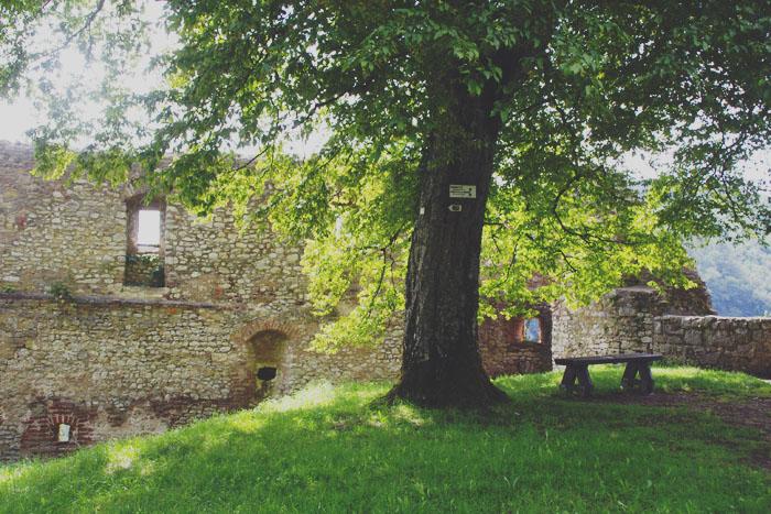 L’Alsace, entre grotte et château ! Chateau de Ferrette
