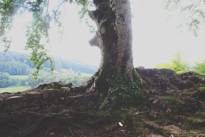 L’Alsace, entre grotte et château ! Chateau de Ferrette