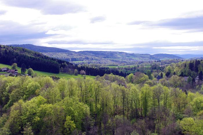 L’Alsace, entre grotte et château ! Chateau de Ferrette
