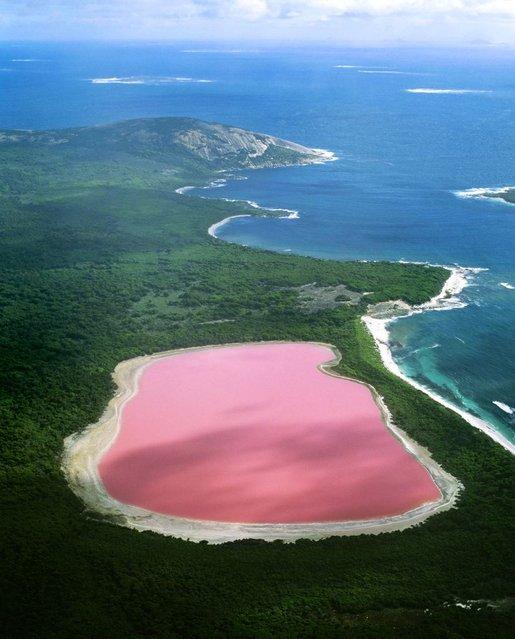 Hiller lake(pink lake), Western Australia