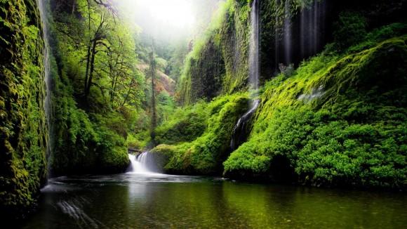oregon_river_water_waterfalls_nature_forest_woods_green_scenic