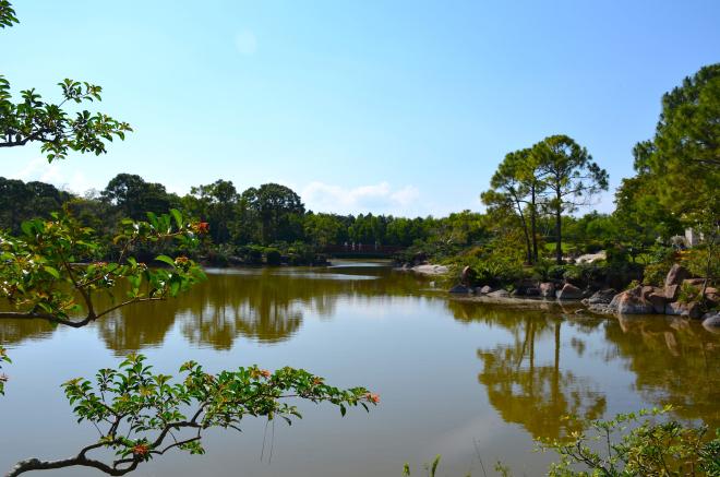 Morikami : un petit bout de Japon au milieu de la Floride morikami23