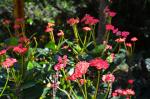 Morikami : un petit bout de Japon au milieu de la Floride Morikami : un petit bout de Japon au milieu de la Floride