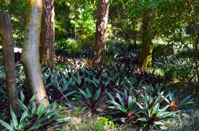 Morikami : un petit bout de Japon au milieu de la Floride morikami17
