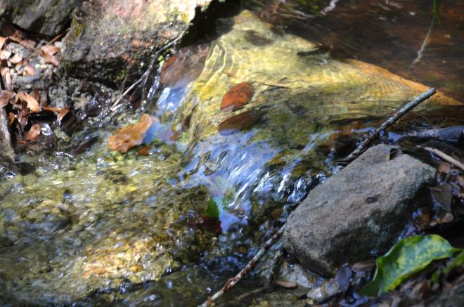 Morikami : un petit bout de Japon au milieu de la Floride morikami13