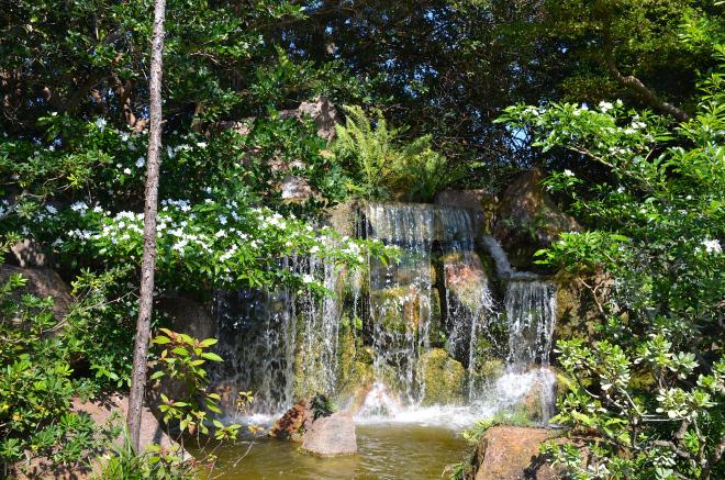 Morikami : un petit bout de Japon au milieu de la Floride morikami25