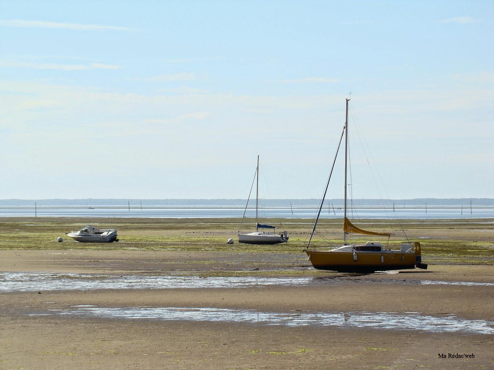 Carnet de voyage : le Bassin d'Arcachon