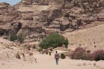 Il n’y a pas que Petra en Jordanie ! Il n’y a pas que Petra en Jordanie !