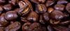 Le café bio : une alternative pour sauver l'écosystème