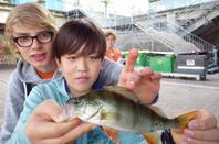 Initiation de pêche à la cité de la mode à Paris! Initiation de pêche à la cité de la mode à Paris!