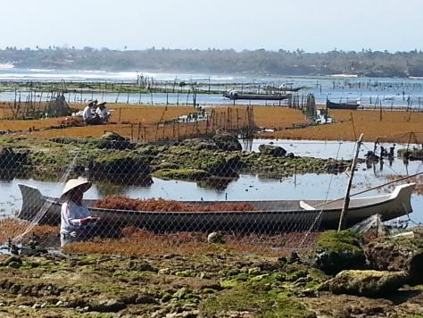 Nusa Lembongan : la beauté pure de Bali 20140920_150439