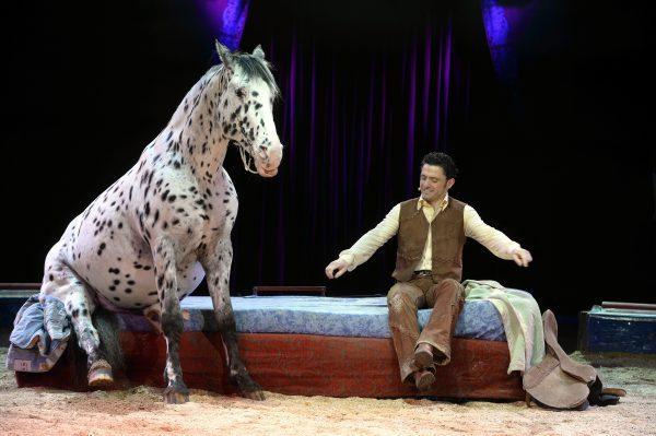 *** Une soirée dans les étoiles *** *** Une soirée dans les étoiles ***