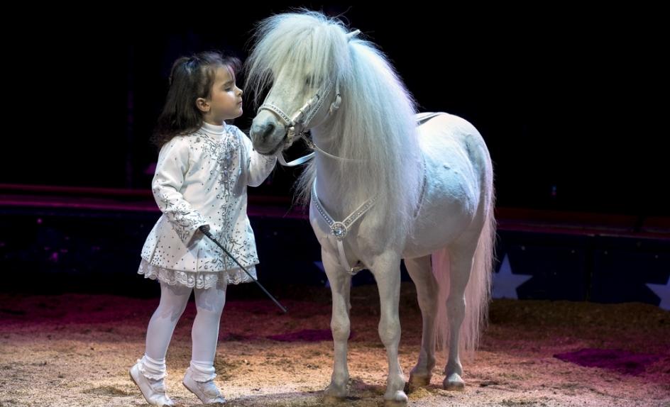 *** Une soirée dans les étoiles *** *** Une soirée dans les étoiles ***