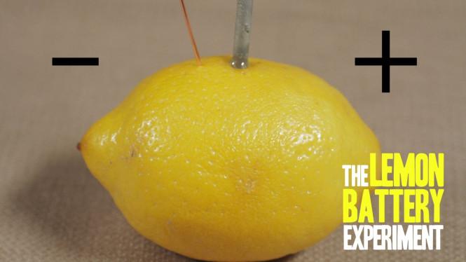 Les inventions d’hier seront les nouvelles technologies de demain © Lemon Battery Science Fair Project