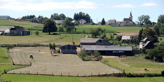 La FNSEA prend le contrôle du titre d'agriculteur... donc des aides européennes ! La FNSEA prend le contrôle du titre d'agriculteur... donc des aides européennes !
