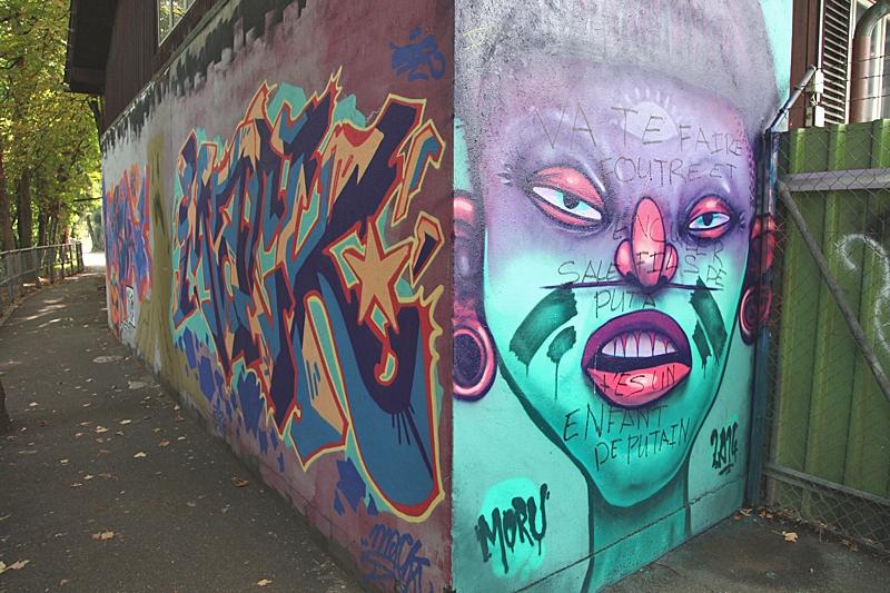 Des graffitis à la Queue d’Arve IMG_0353-sssssssss.jpg