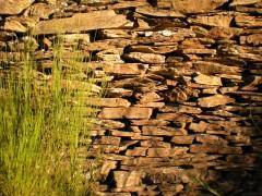 Souvenir tenace Littérature