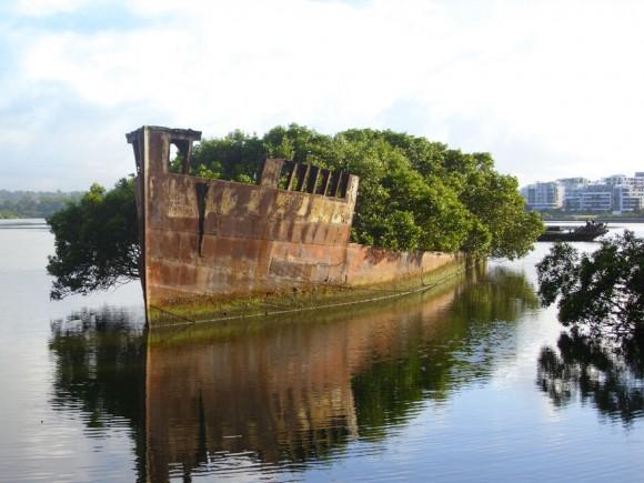 102-Year-Old Abandoned Ship In Sydney, Australia