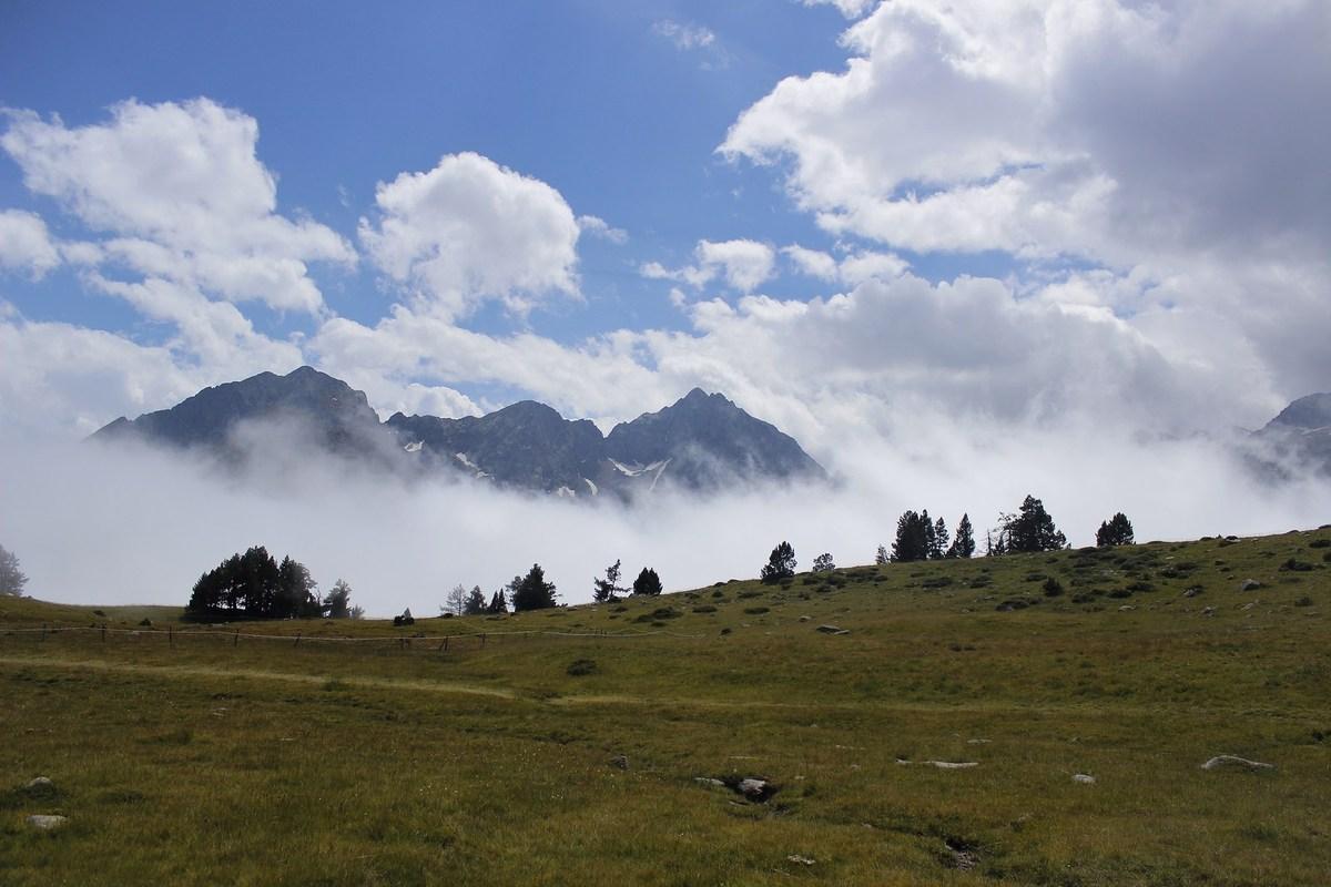 sur la route des marmottes