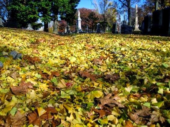 carpe diem carpe diem