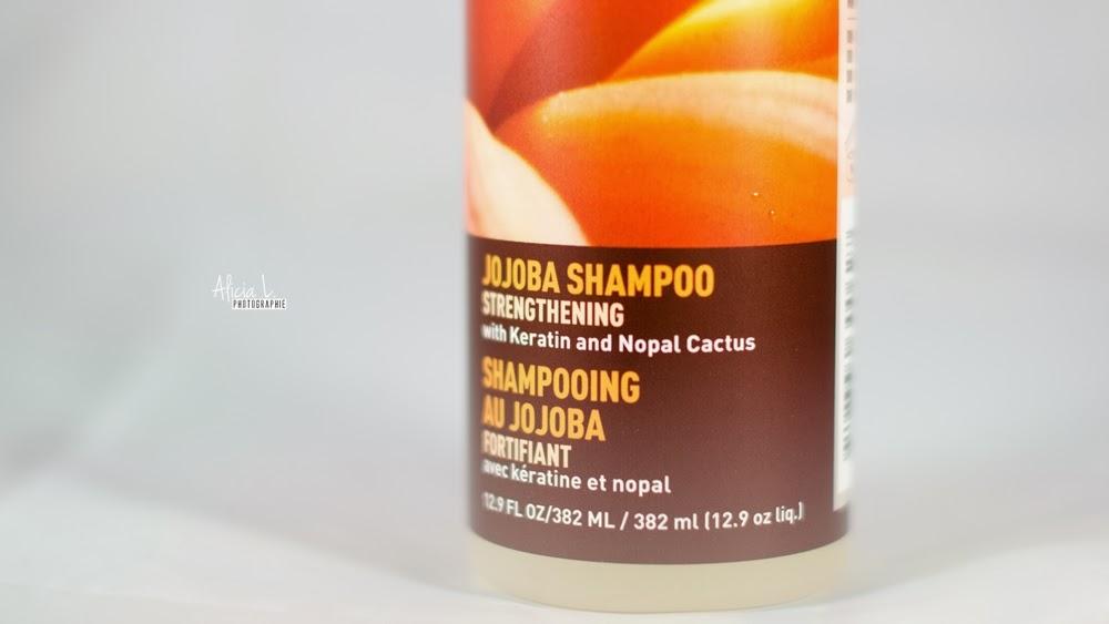 Favoris 2013 : Soins Favoris 2013 : Soins