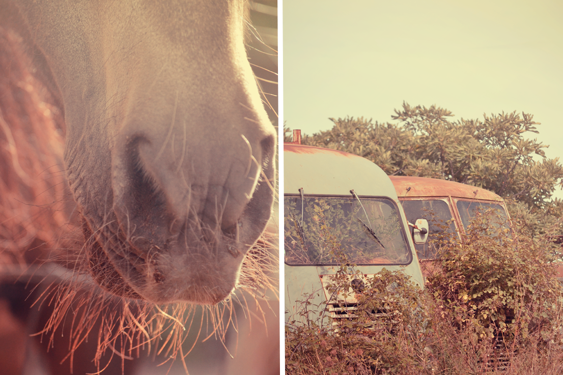 gite les écuries du rastéou gite les écuries du rastéou