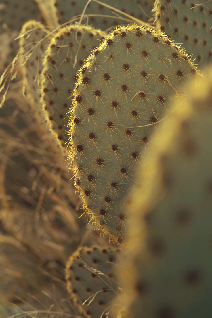 gite les écuries du rastéou gite les écuries du rastéou
