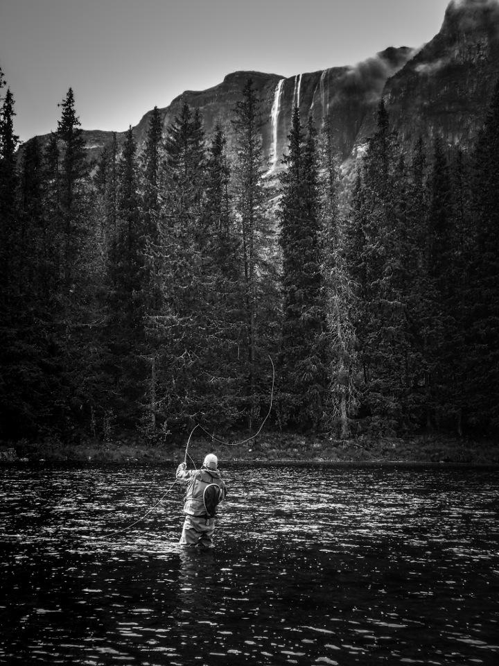 LE MOUCHING PHOTO CONTEST LE MOUCHING PHOTO CONTEST