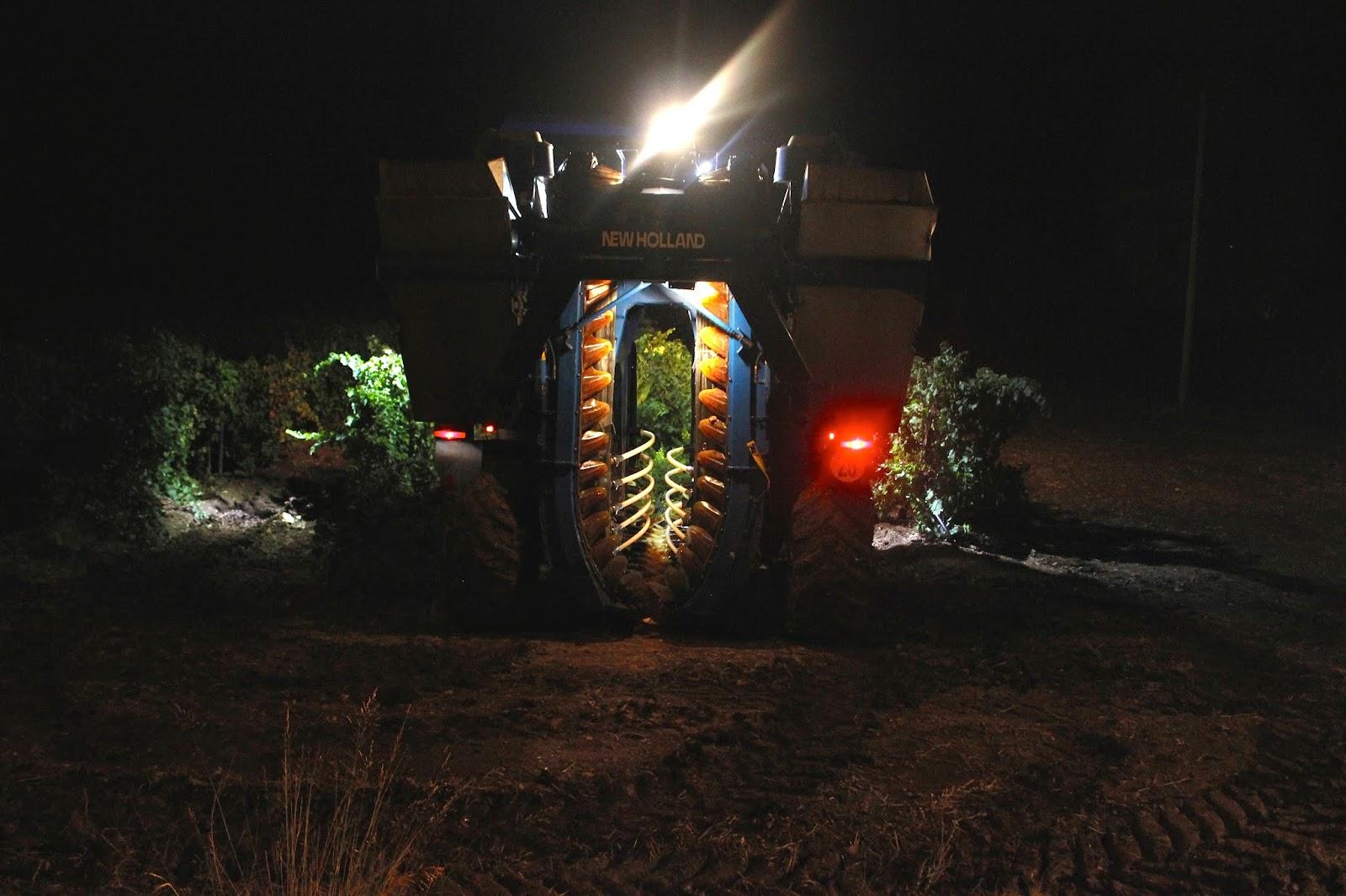 Les vendanges sont terminées!