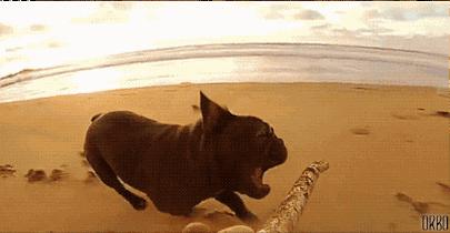 Perfectly Looped Gif : Le gif parfait. 6fb