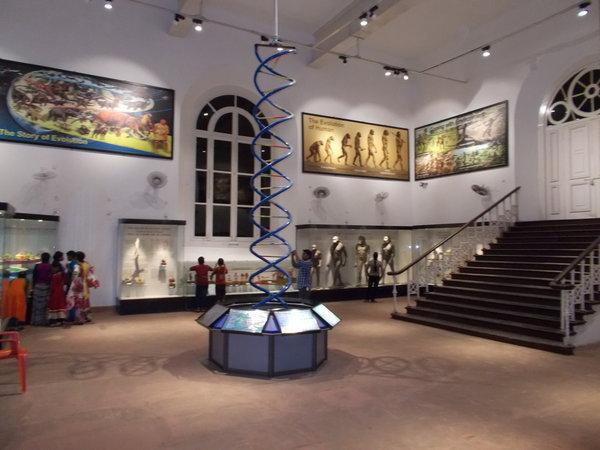 Panorama des différents départements du musée entre modernité pour les sections rénovées et espaces restés dans leur jus en attente d'une seconde vie