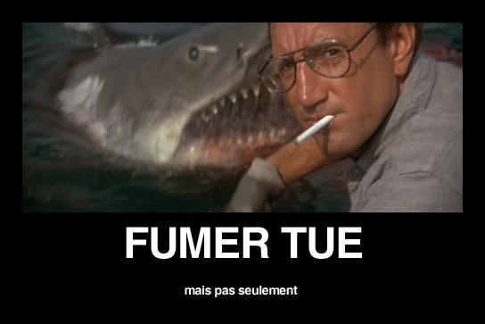 L’offensive contre la cigarette électronique est officiellement lancée fumer tue