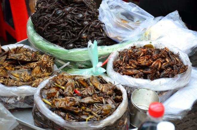 Cambodge: Phnom Penh express insecte market